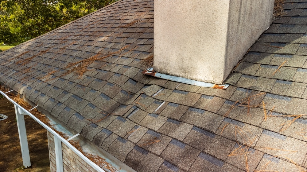 shingle water damage medium